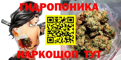 молекула духа Ливны